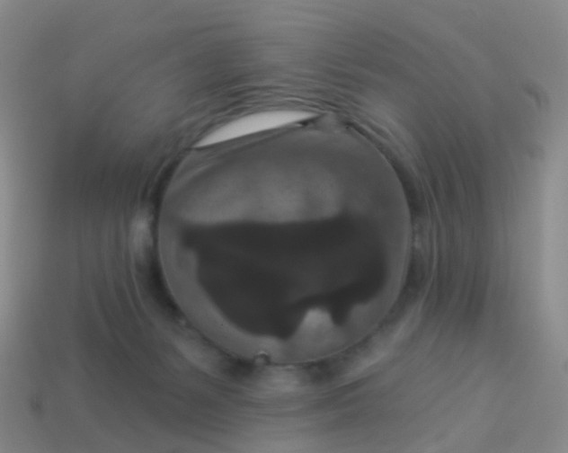 X0000113880127200910081755