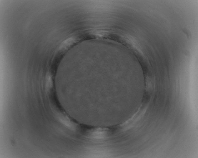 X0000113880128200910081755