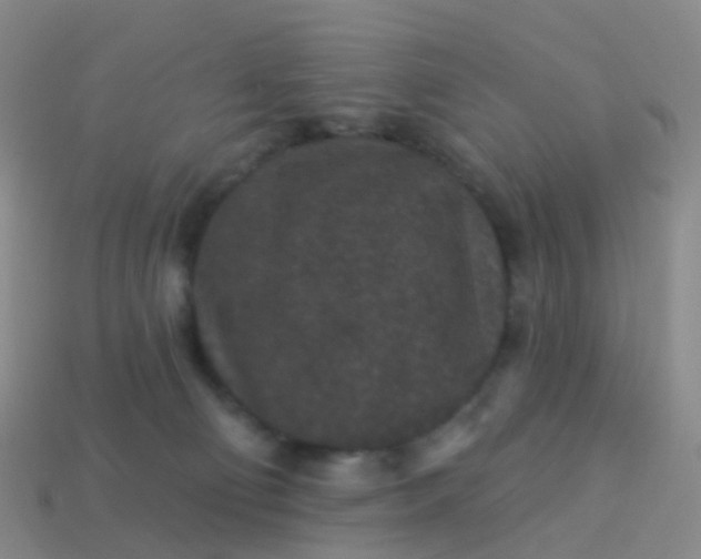 X0000113880130200910081755