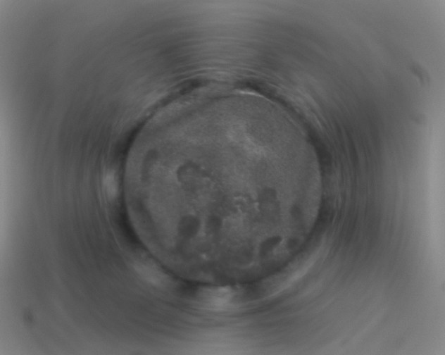 X0000113880131200910081755