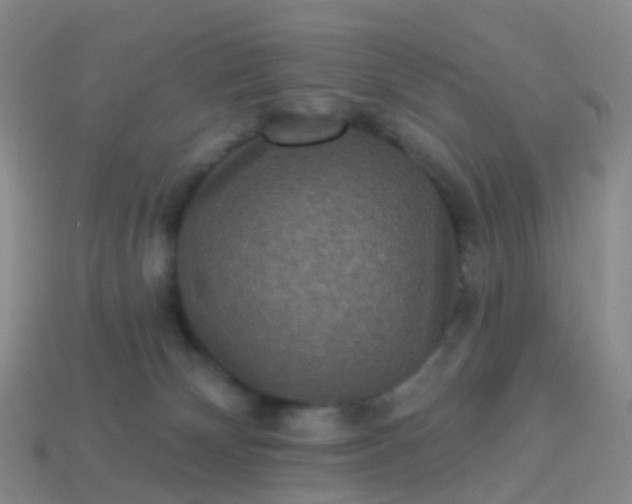 X0000113880132200910081755