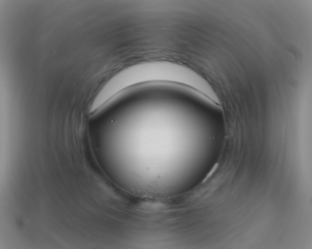 X0000113880133200910081755