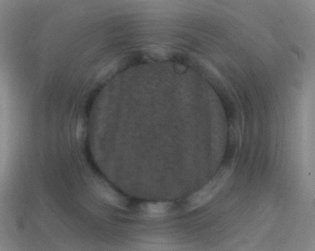 X0000113880134200910081754