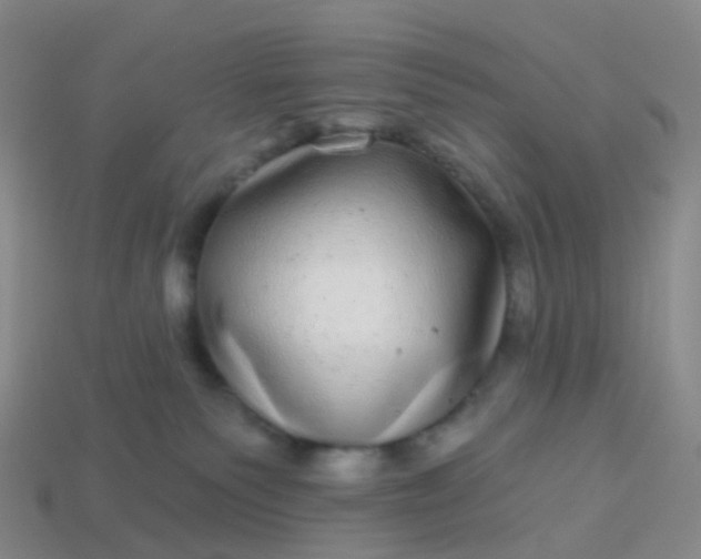 X0000113880135200910081754