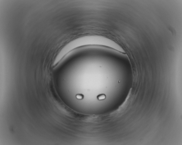 X0000113880136200910081754