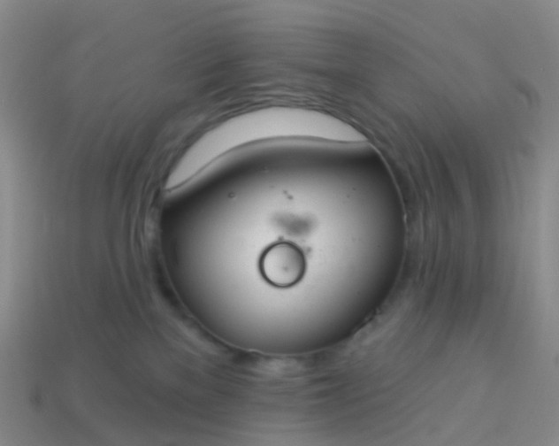 X0000113880137200910081754