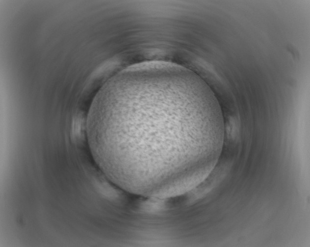 X0000113880138200910081754