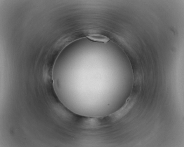 X0000113880140200910081754