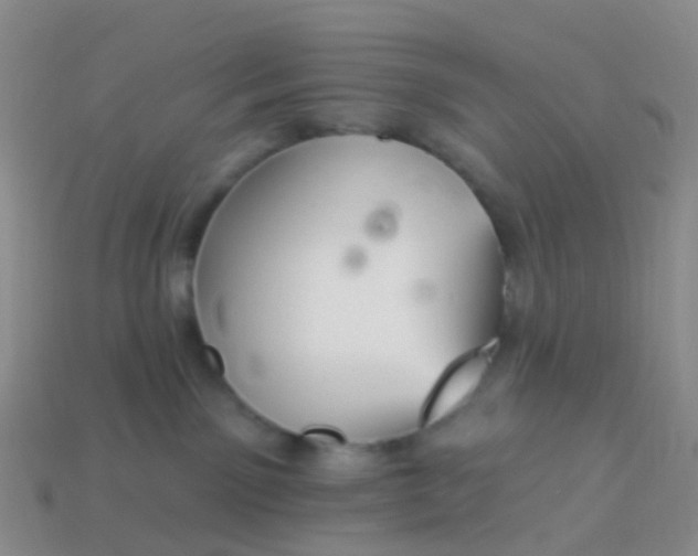 X0000113880141200910081754