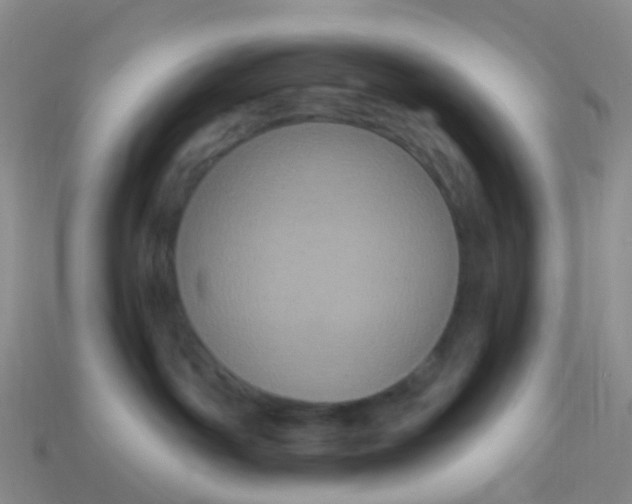 X0000113880142200910081754