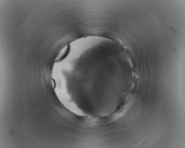 X0000113880143200910081754