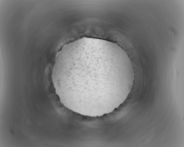 X0000113880144200910081754