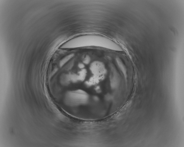 X0000113880145200910081754