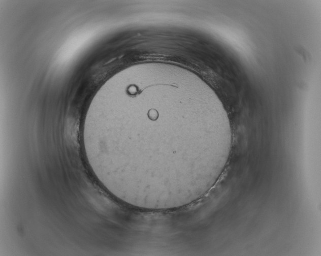 X0000113880146200910081754