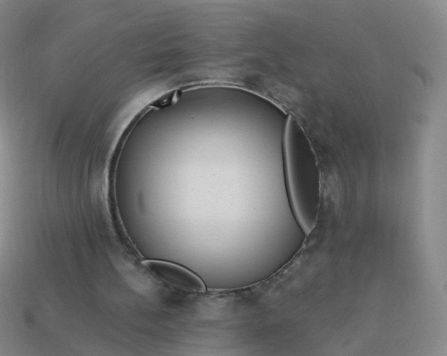 X0000113880148200910081754