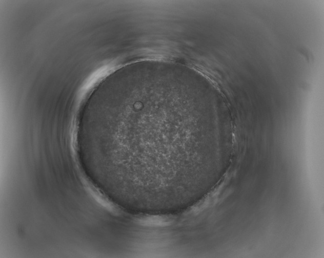 X0000113880149200910081754