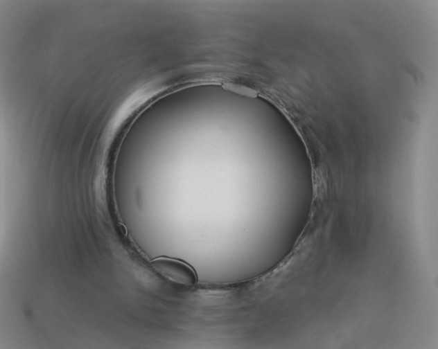 X0000113880150200910081754