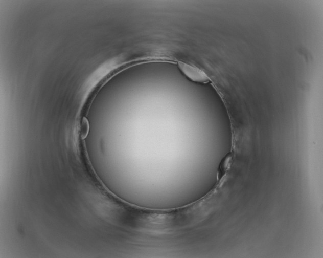 X0000113880152200910081754