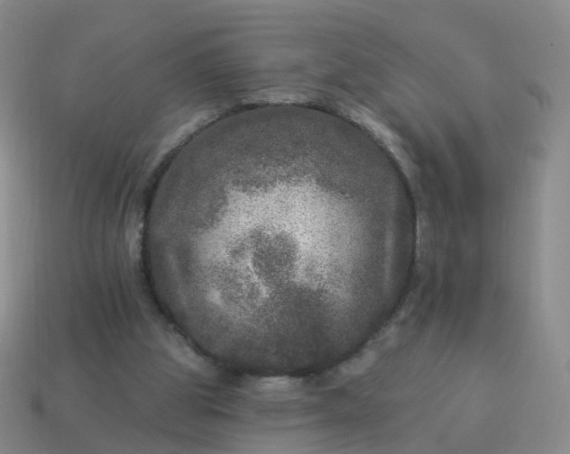 X0000113880153200910081754