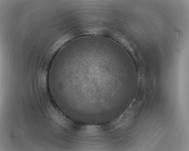 X0000113880154200910081754