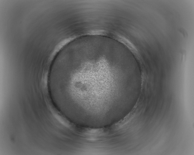 X0000113880155200910081754