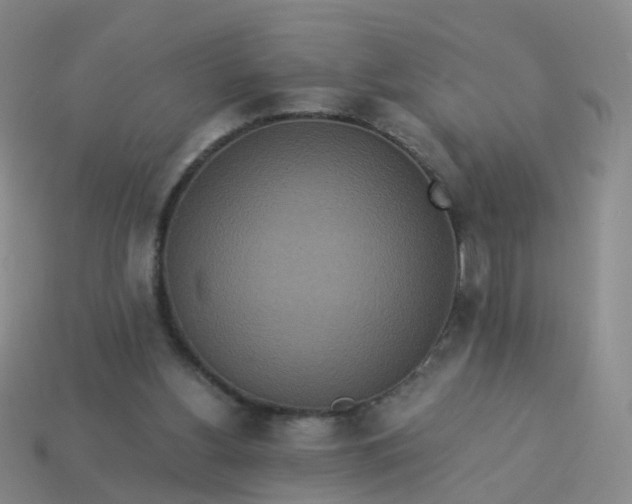 X0000113880156200910081754