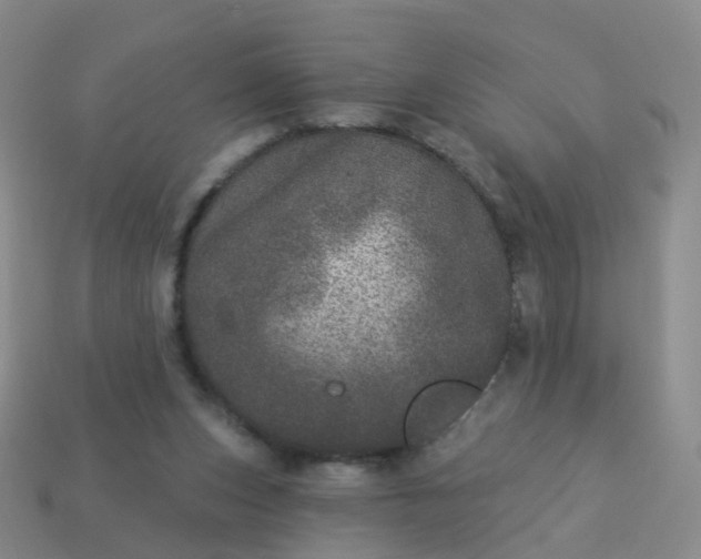 X0000113880159200910081754