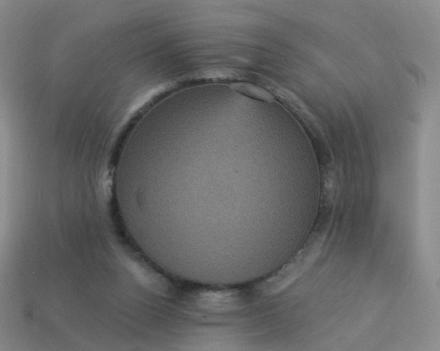 X0000113880160200910081754