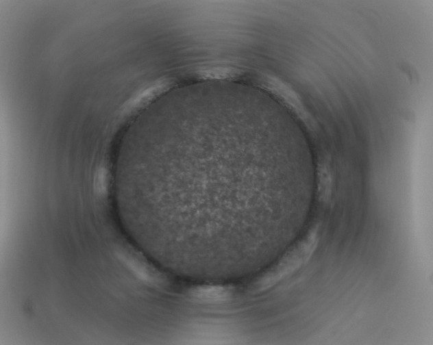 X0000113880161200910081754