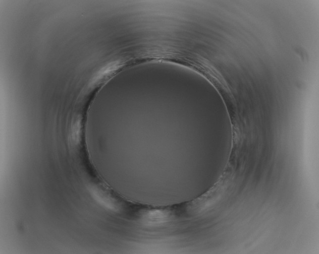 X0000113880163200910081754