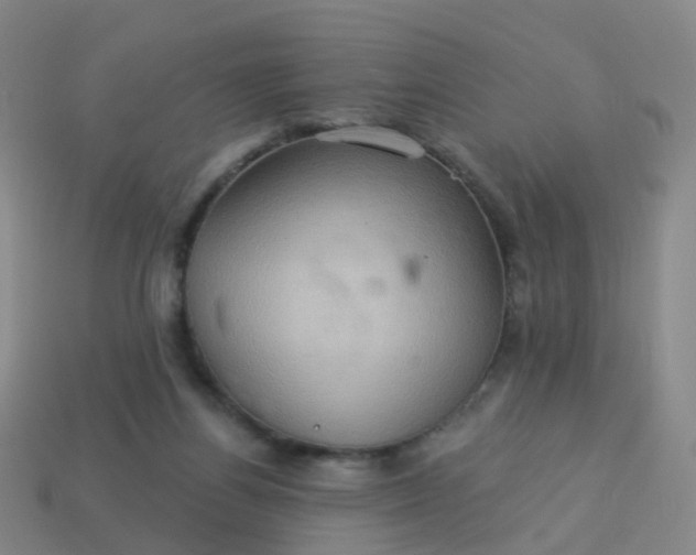 X0000113880164200910081754