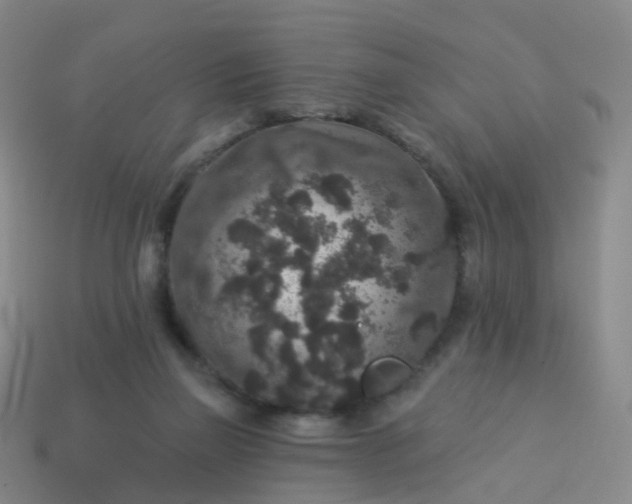 X0000113880165200910081754