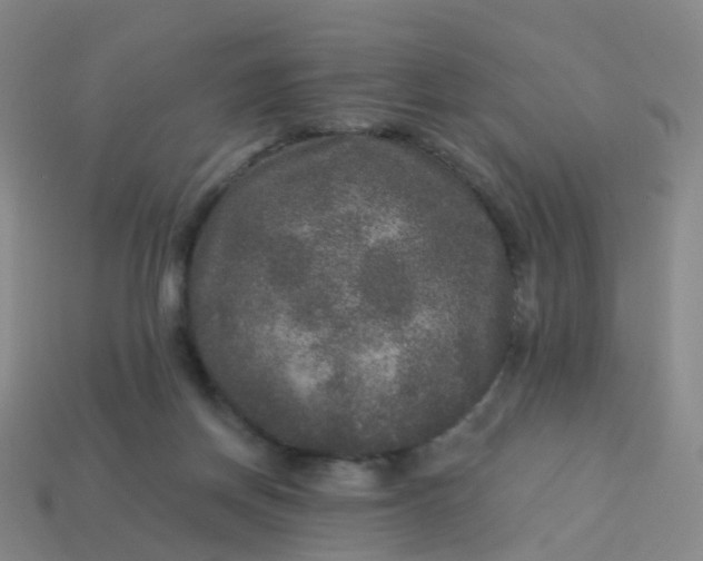 X0000113880166200910081754