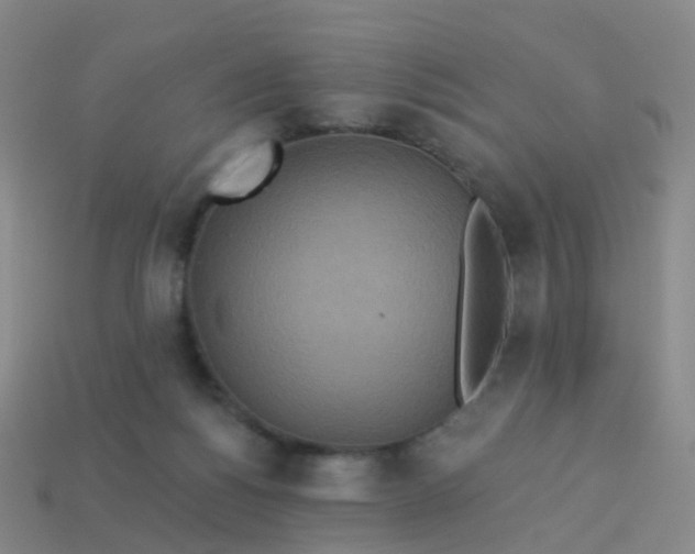 X0000113880168200910081754