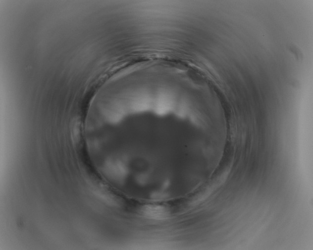 X0000113880169200910081754