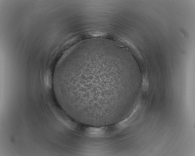 X0000113880170200910081754