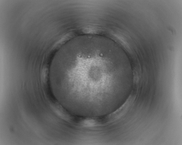 X0000113880171200910081754