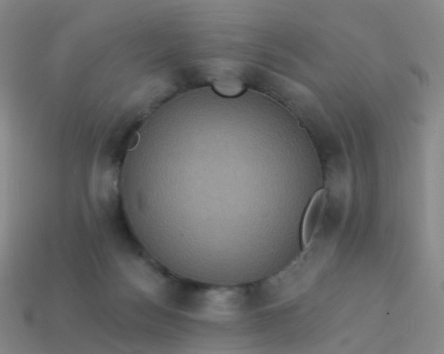 X0000113880172200910081754