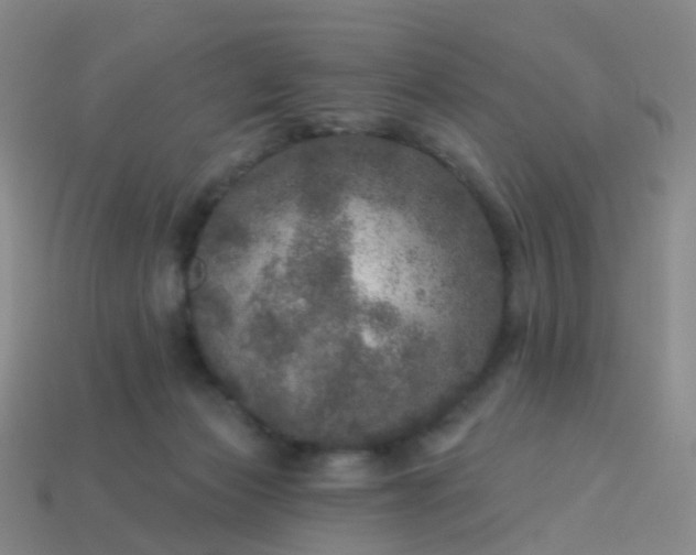 X0000113880173200910081754