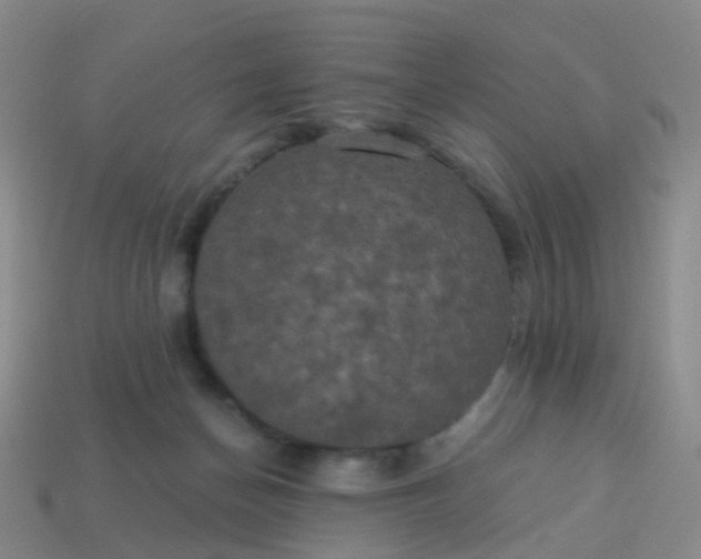 X0000113880174200910081754