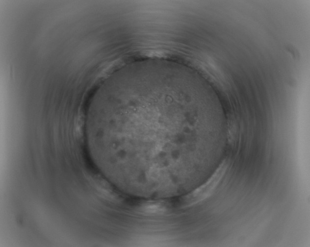 X0000113880175200910081754