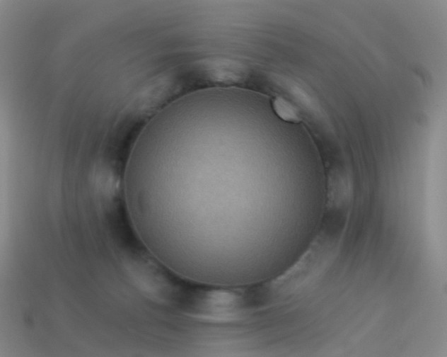 X0000113880176200910081754