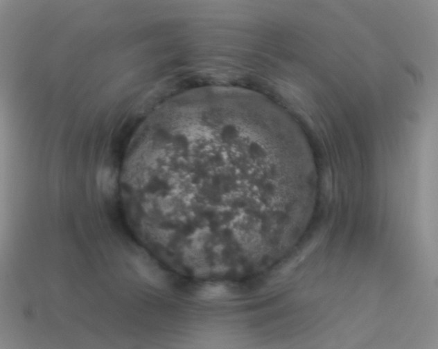 X0000113880177200910081754