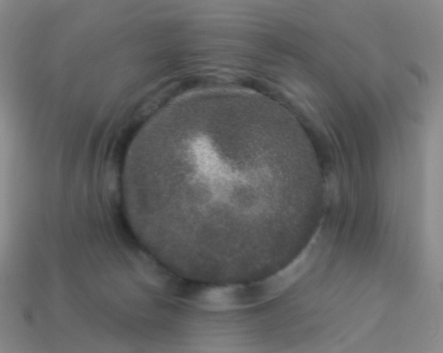 X0000113880178200910081754