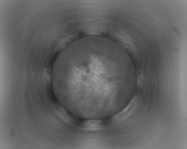 X0000113880179200910081754