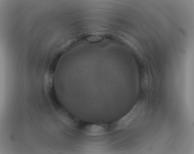 X0000113880180200910081754