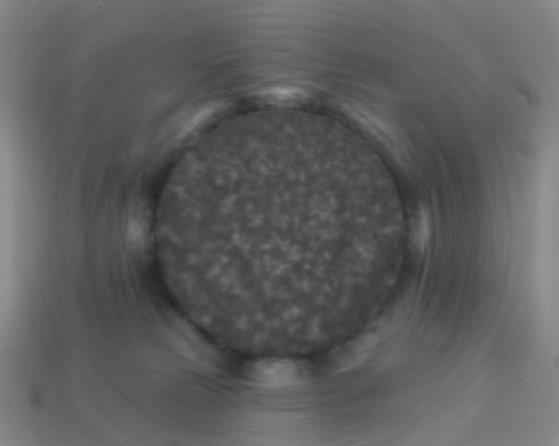 X0000113880181200910081754