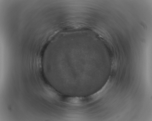 X0000113880182200910081754