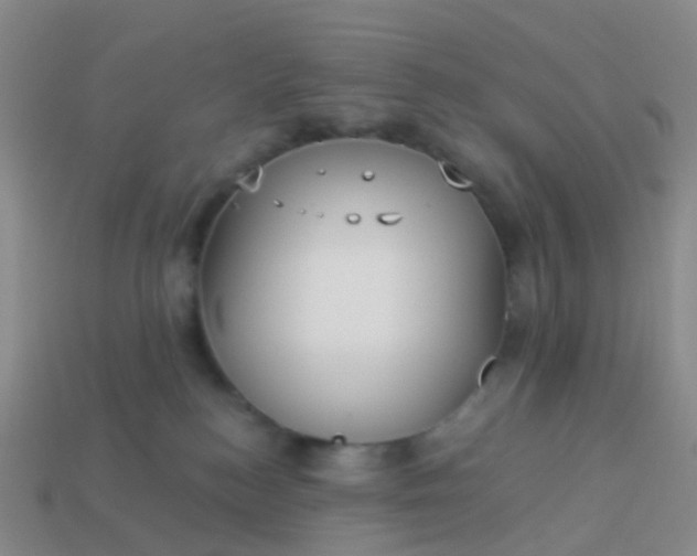 X0000113880184200910081754