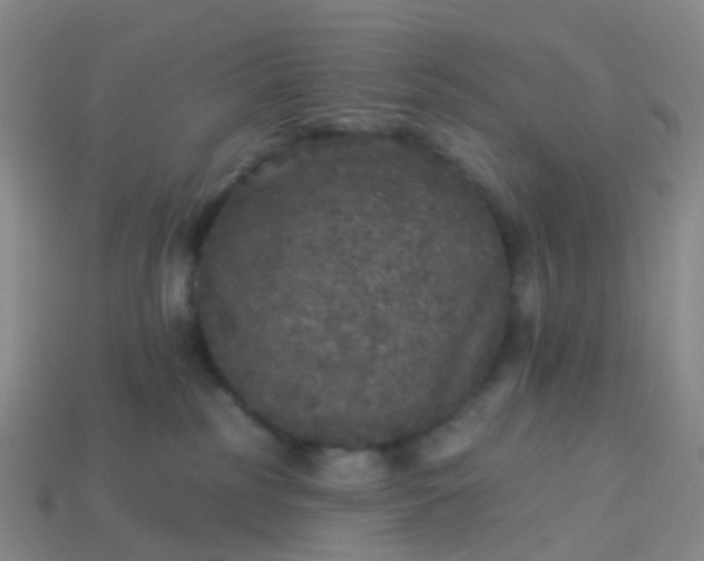 X0000113880185200910081754